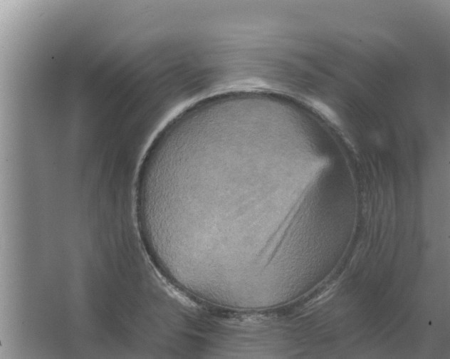 X0000066521326200604141804