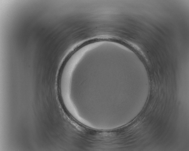 X0000066521327200604141804