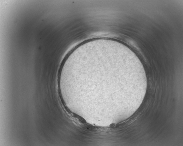 X0000066521328200604141804