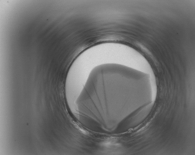 X0000066521329200604141804