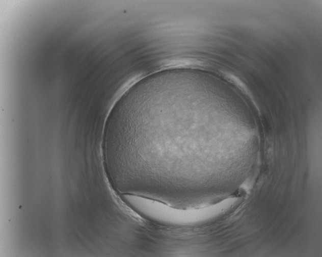 X0000066521330200604141804