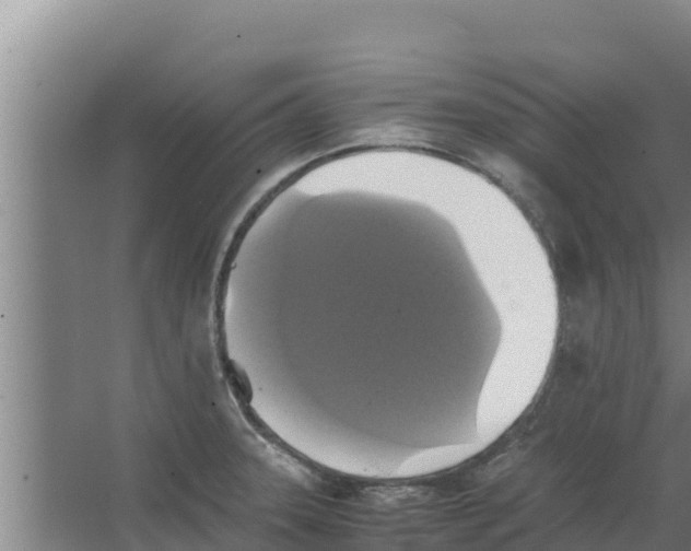 X0000066521331200604141804