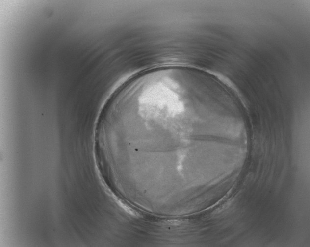 X0000066521333200604141804