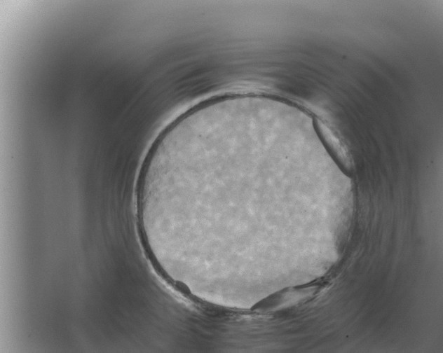 X0000066521335200604141804