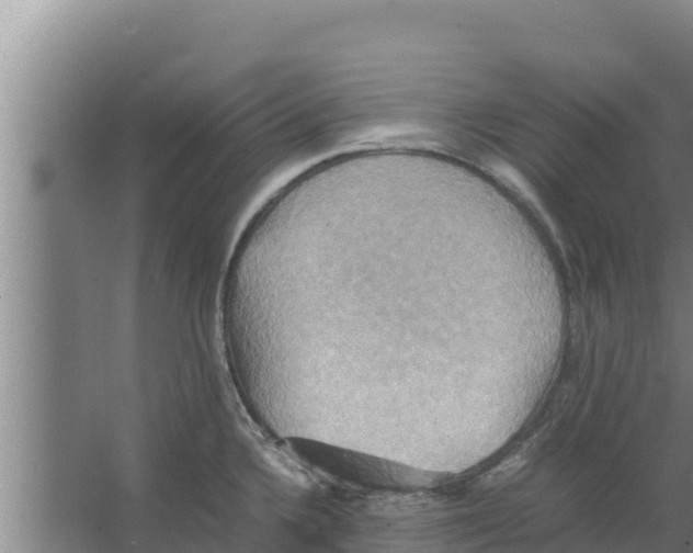 X0000066521336200604141804