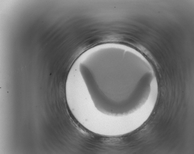 X0000066521337200604141804