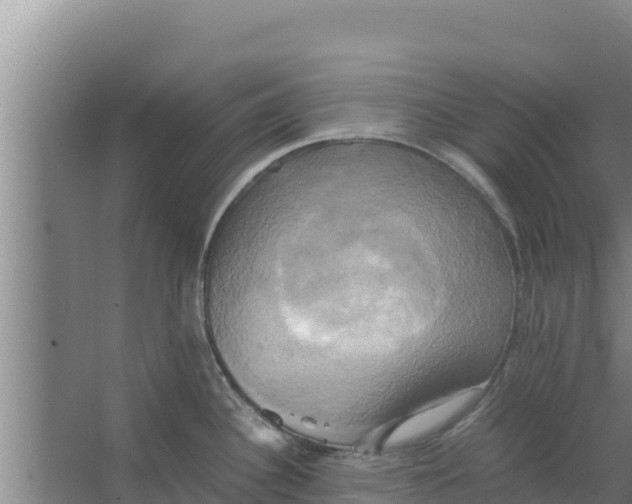 X0000066521340200604141804