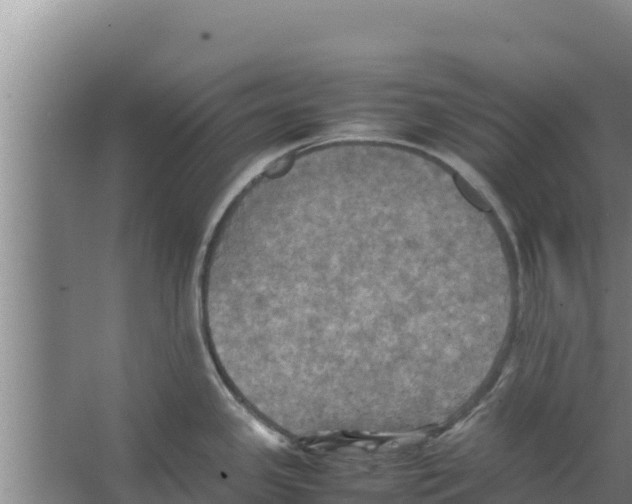 X0000066521341200604141804