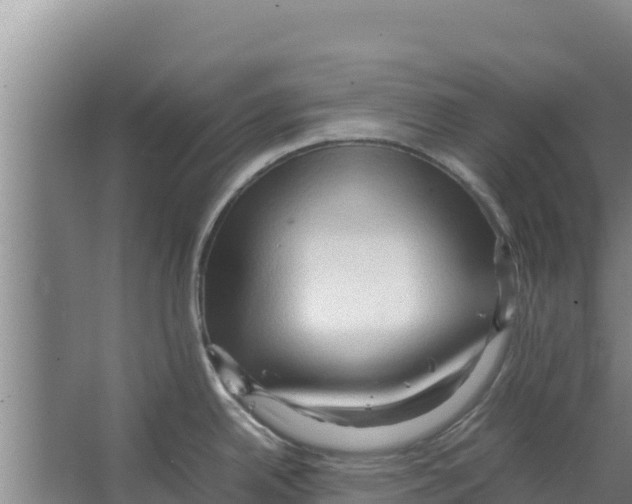 X0000066521342200604141804