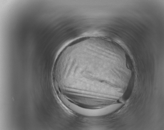 X0000066521344200604141804