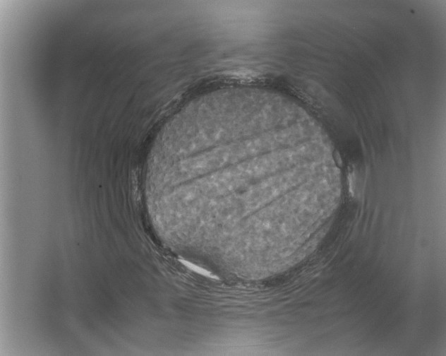 X0000066521347200604141803