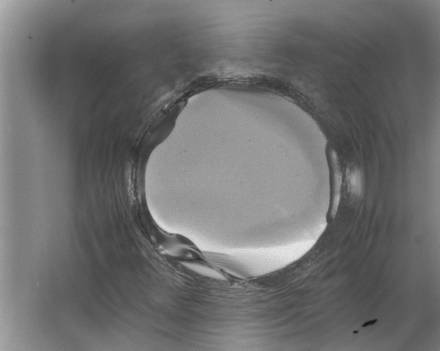 X0000066521348200604141803