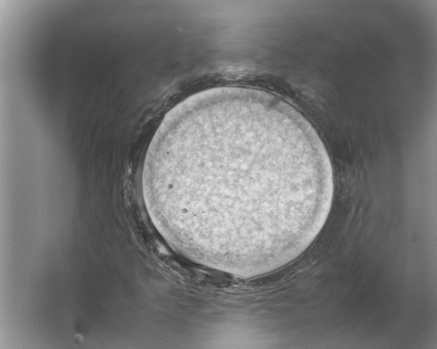 X0000066521349200604141803