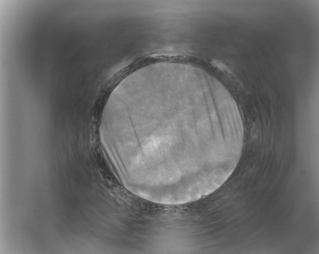 X0000066521350200604141803