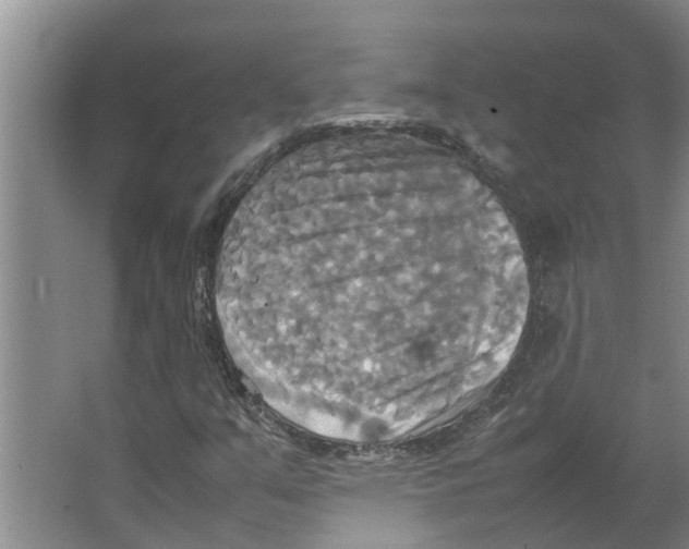 X0000066521351200604141803