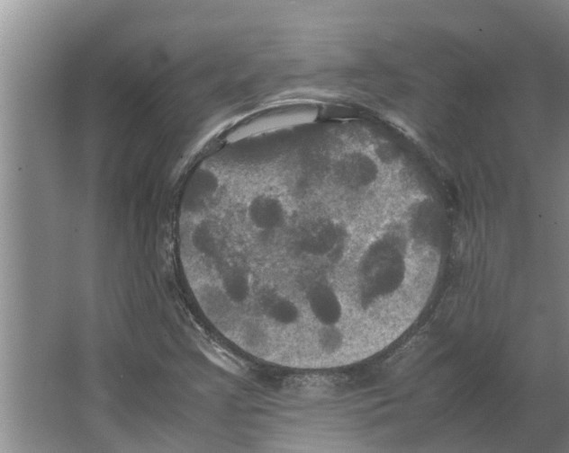 X0000066521355200604141803