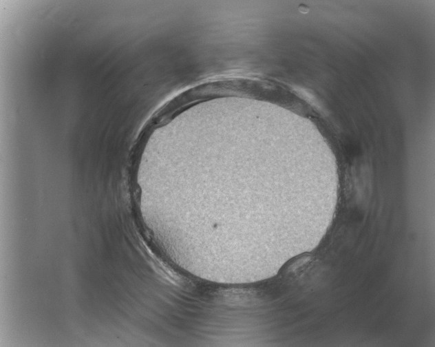 X0000066521356200604141803