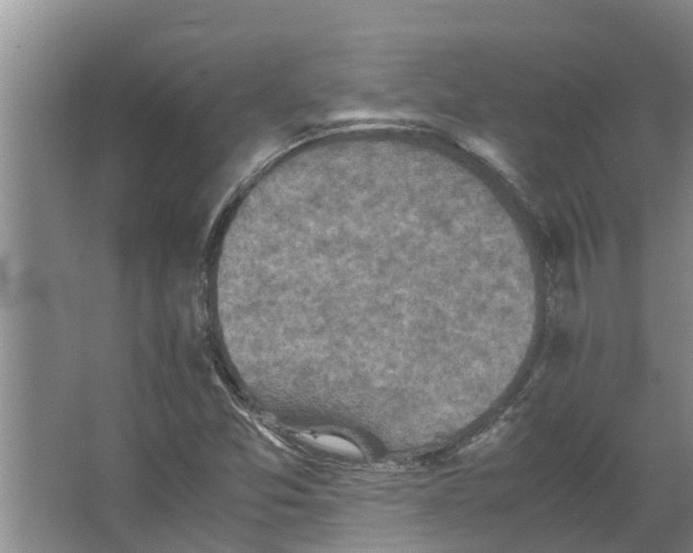 X0000066521357200604141803