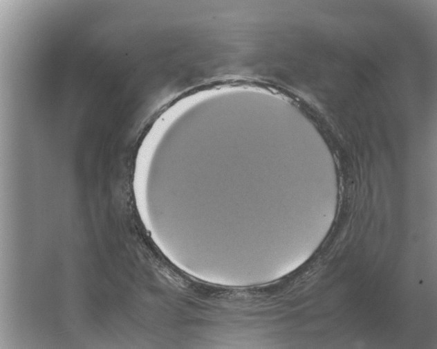 X0000066521359200604141803