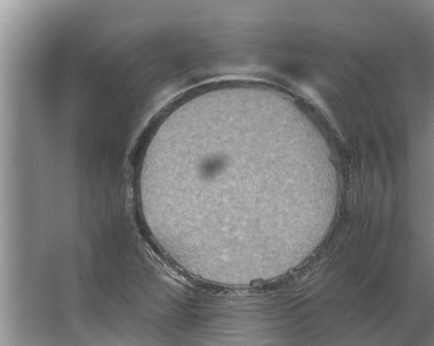 X0000066521360200604141803