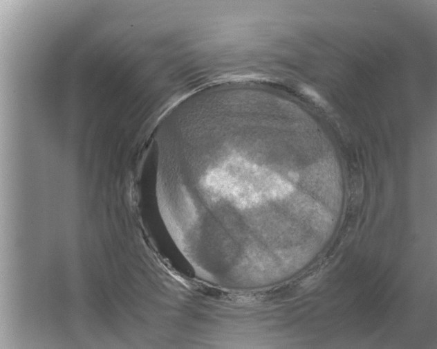 X0000066521361200604141803