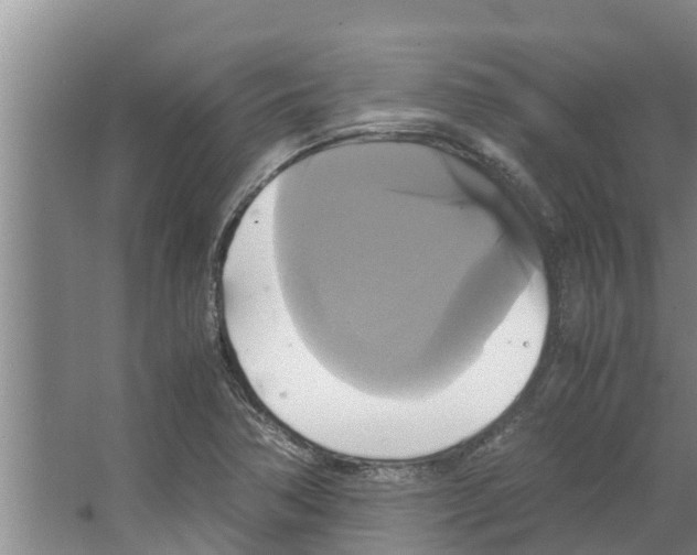 X0000066521362200604141803