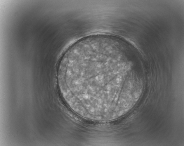 X0000066521363200604141803