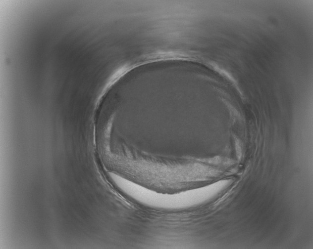 X0000066521365200604141803