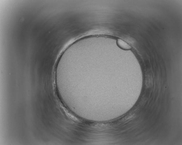 X0000066521366200604141803