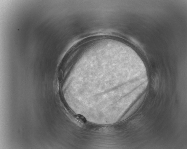 X0000066521368200604141803