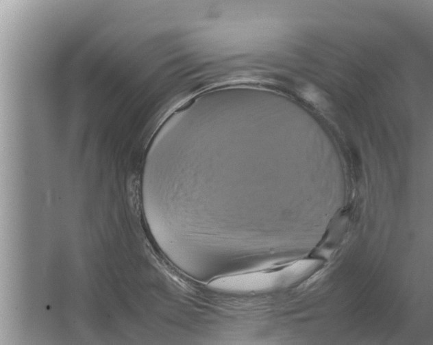 X0000066521369200604141803