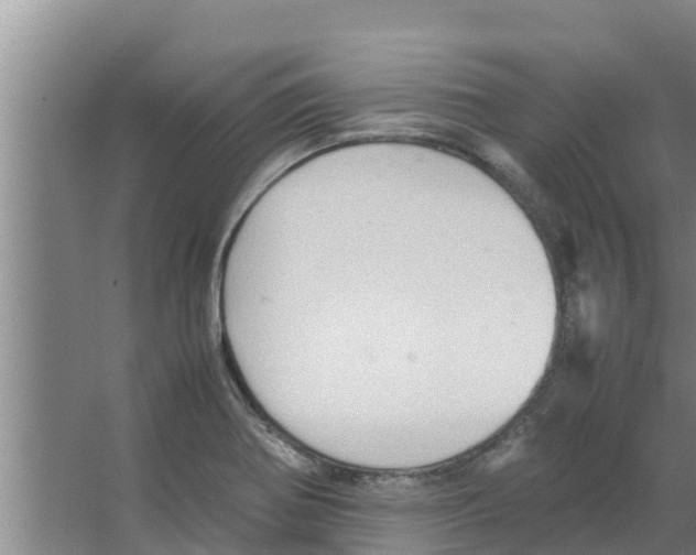 X0000066521370200604141803