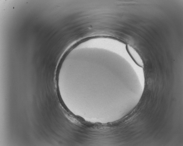 X0000066521372200604141803