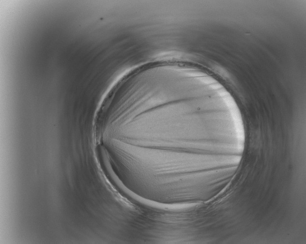 X0000066521376200604141803