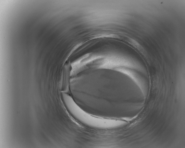 X0000066521377200604141803