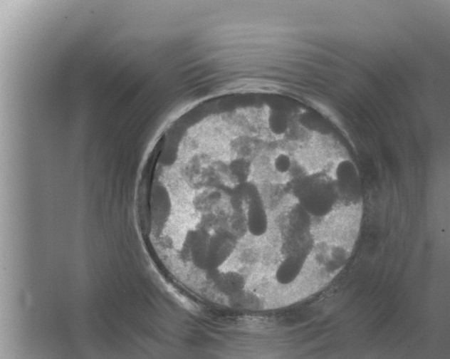 X0000066521379200604141803