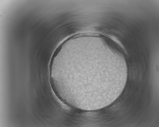 X0000066521380200604141803