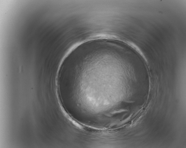 X0000066521381200604141803