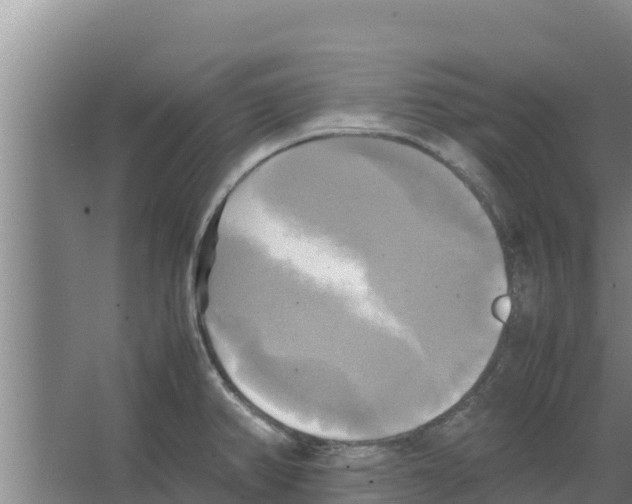 X0000066521382200604141803