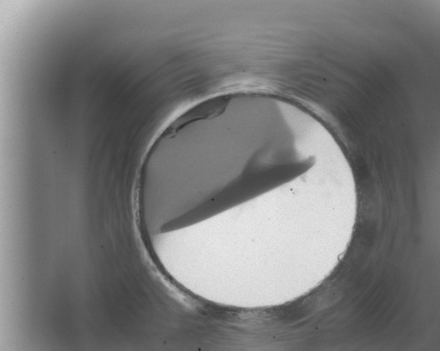 X0000066521383200604141803