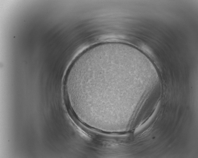 X0000066521384200604141803