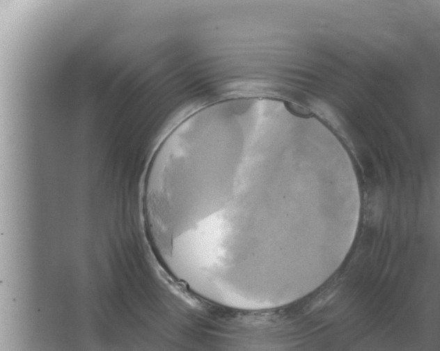 X0000066521386200604141803