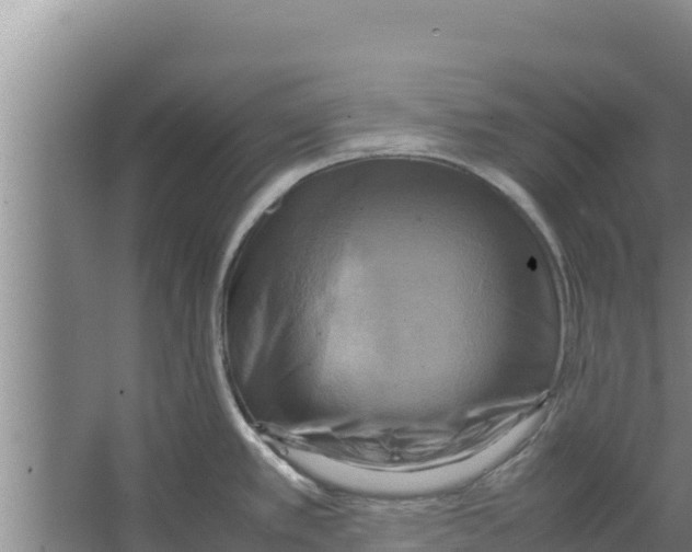 X0000066521389200604141802