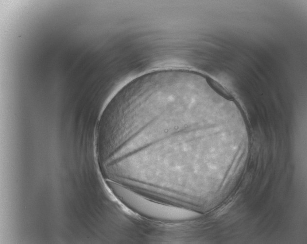 X0000066521390200604141802