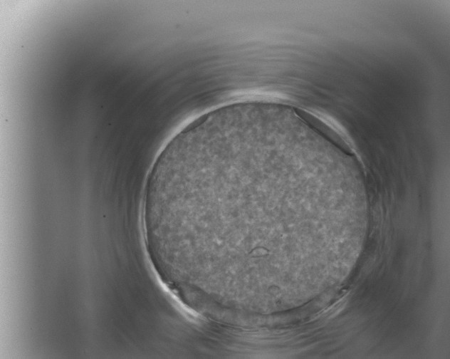 X0000066521391200604141802