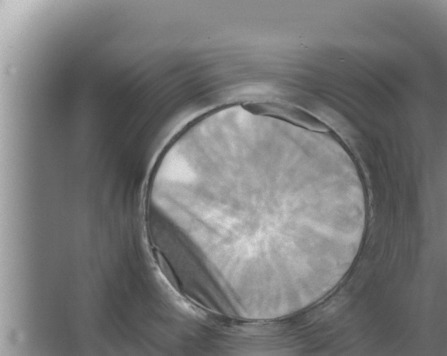 X0000066521392200604141802