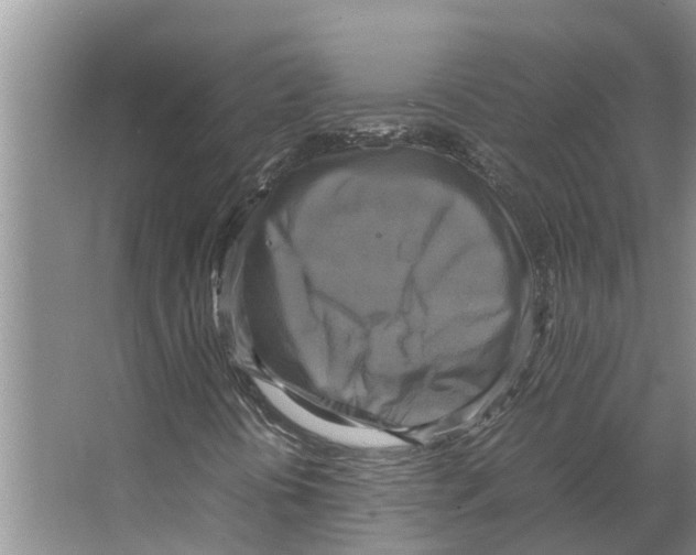 X0000066521394200604141802