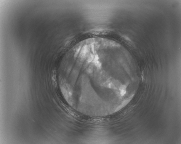 X0000066521396200604141802