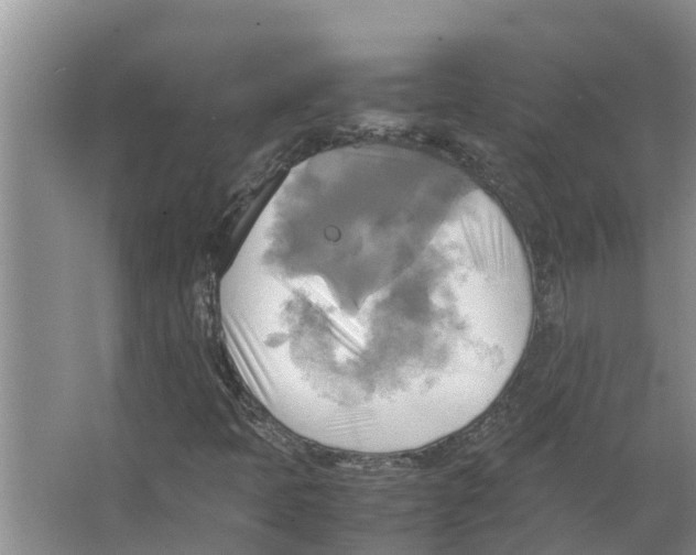 X0000066521397200604141802