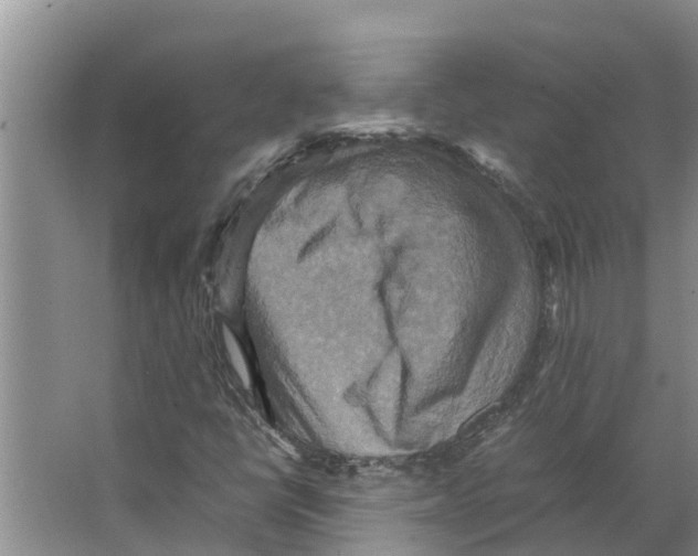 X0000066521398200604141802